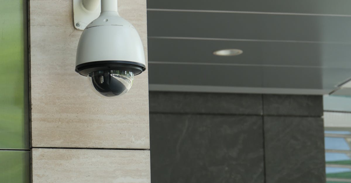 Automating Software Updates for Hassle-Free Maintenance