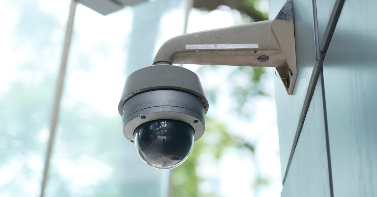 The Advantages of PTZ Cameras in Commercial Environments